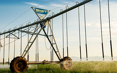 Farmers & Agriculture, Your Pivot Irrigation Experts